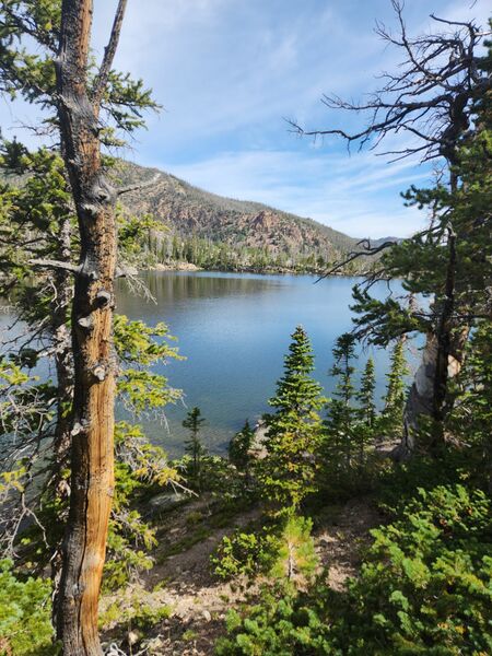 File:Norris Creek pic001.jpg