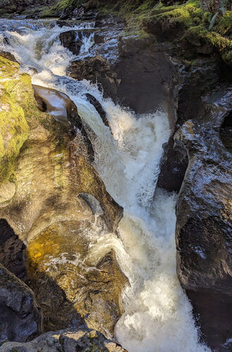 Young's Creek Falls-20240318054802 pic.jpg