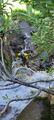 Thumbnail for version as of 21:11, 29 July 2024