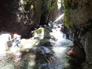 Narrows2.jpg