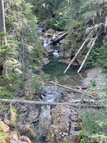 Panther Creek (Mount Rainier National Park)-20260708154223 pic.jpg