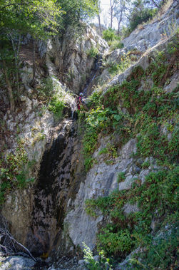 Silver Canyon Banner.jpg