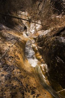 Sneeds Creek (Unnamed Left Fork) Banner.jpg