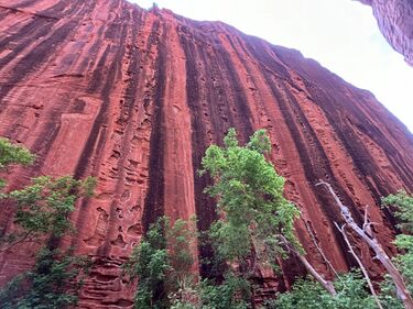 Taylor Creek (South Fork) Banner.jpg
