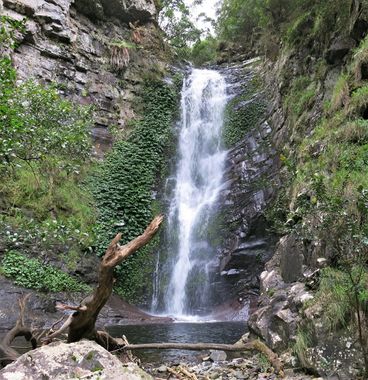 Wheengee Whungee Creek Banner.jpg