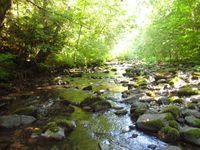 Quartzville Creek-20170913001907 pic.jpg