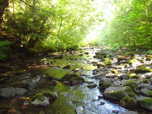 Quartzville Creek-20170913001907 pic.jpg
