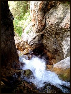 Torrente Tolina3.jpg