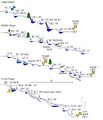Thumbnail for version as of 06:42, 19 June 2025