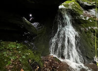 Mudcut Branch Canyon-20240516012517 pic.jpg