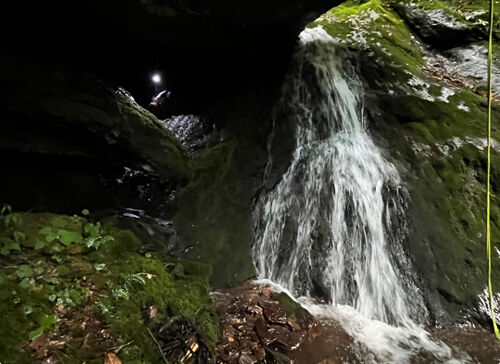 Mudcut Branch Canyon-20240516012517 pic.jpg