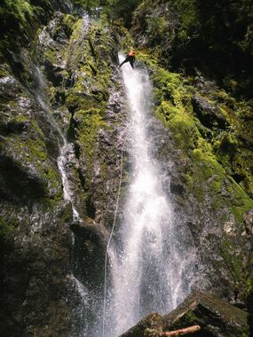 Discovery Creek Banner.jpg