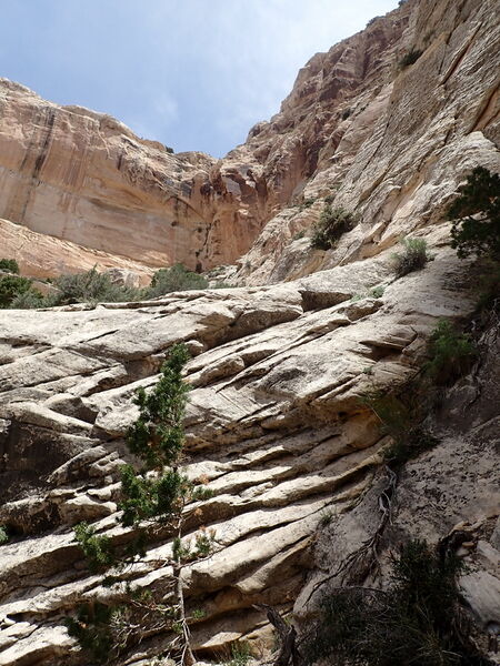 File:Hog Canyon in Dinosaur NM pic8.jpg