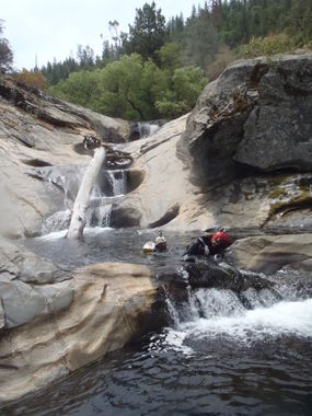 Stevenson Creek (Middle) Banner.jpg