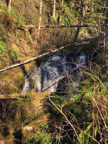 Archer Creek-20190305161952 pic.jpg
