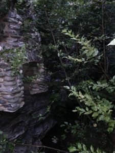 Devil Gulch pics5.jpg