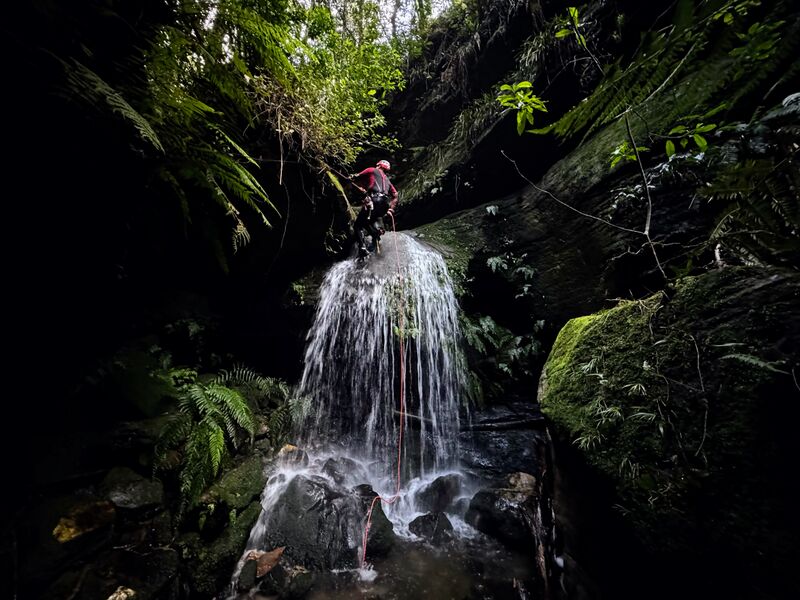 File:Waterfall of moss p5.jpg