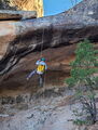 Thumbnail for version as of 04:36, 15 March 2025
