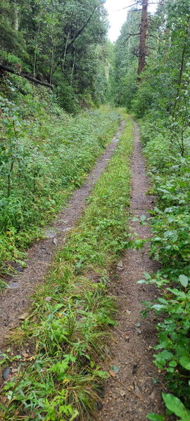 File:Iron Mountain Creek pic020.jpg