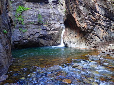 Lime Creek (Durango) Banner.jpg