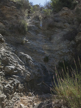 Overlook Canyon Banner.jpg