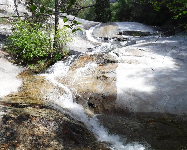 File:Patterson Creek-20180508200629 pic.jpg