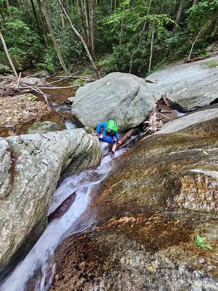 File:Tough Hill Branch R1-1.jpg