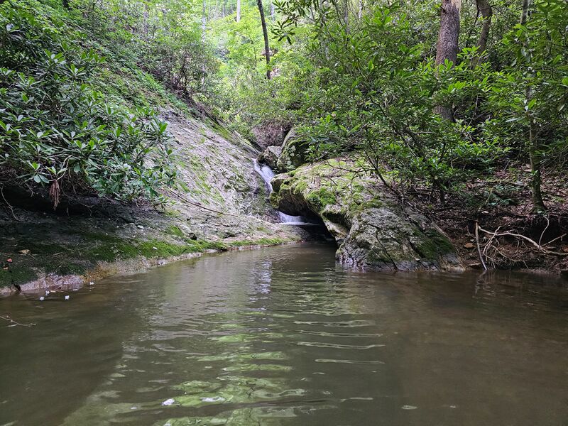 File:Tough Hill Branch R6-1.jpg
