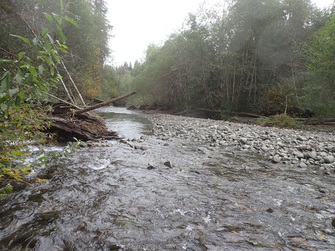 Big Creek (Olympic Peninsula)