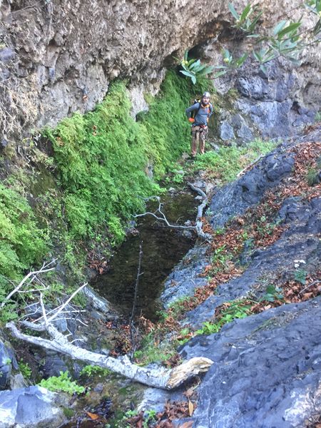 File:Laurel Springs Canyon img7995.jpg