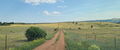 Thumbnail for version as of 13:36, 4 August 2024