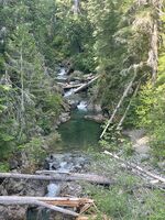 Panther Creek (Mount Rainier National Park)-20260708151000 pic.jpg
