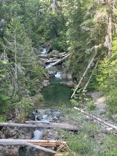 Panther Creek (Mount Rainier National Park)-20260708151000 pic.jpg