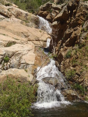 San Diego River Gorge Banner.jpg