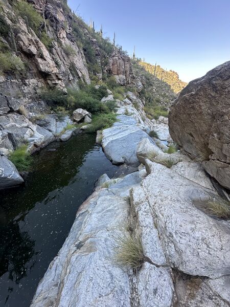 File:FILE-20240915030757.jpg