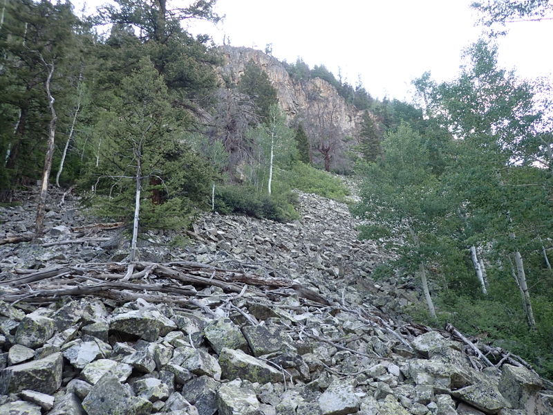 File:Sheepdog Creek pic1.jpg