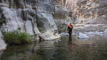 West Clear Creek (Full) Banner.jpg