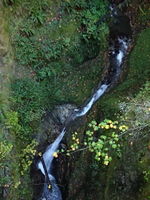 Davis Creek Canyon-20141119073158 pic.jpg