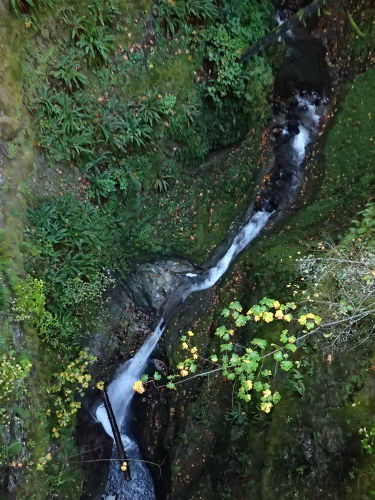 Davis Creek Canyon-20141119073158 pic.jpg