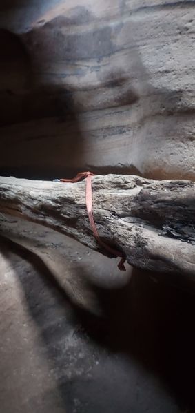 File:FILE-20210125030734.jpg
