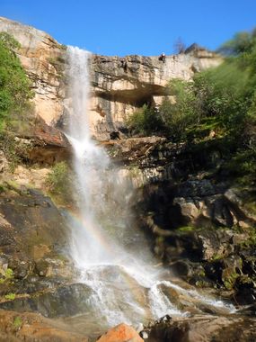 Mill Creek (Lower, Sierra National Forest) Banner.jpg