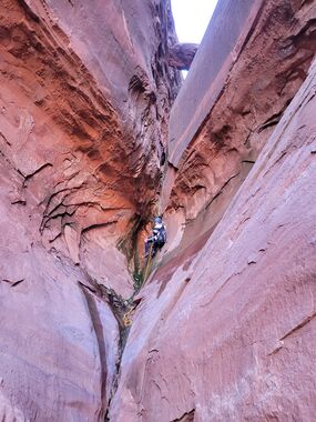 Burrly Canyon Banner.jpg