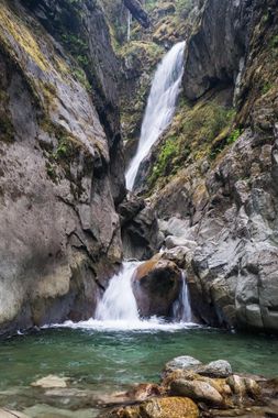 Irene Creek Banner.jpg