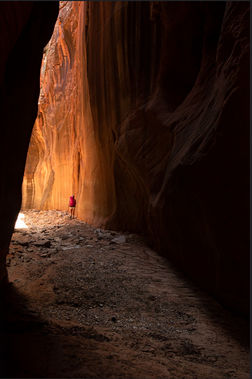 Mineral Gulch Banner.jpg