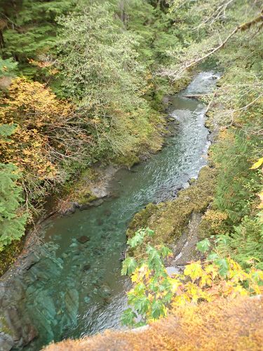 Goforth Creek-20201006035801 pic.jpg