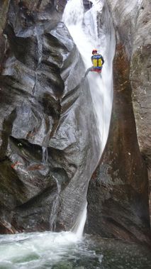 Groven Banner.jpg