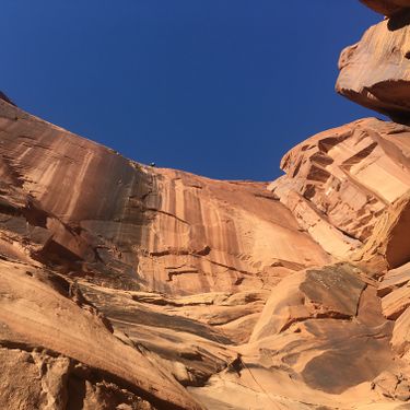 Sunseed Canyon Banner.jpg
