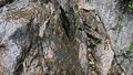 Thumbnail for version as of 06:49, 30 June 2026