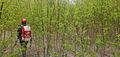 Thumbnail for version as of 01:10, 7 May 2024