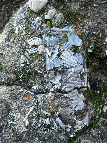 File:Eocene Canyon pic3.jpg